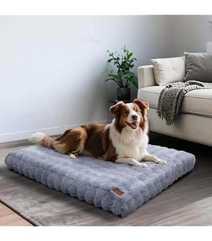 Amazon | Foxace 犬 ベッド ペットベッド 猫 ペットソファー おしゃれ